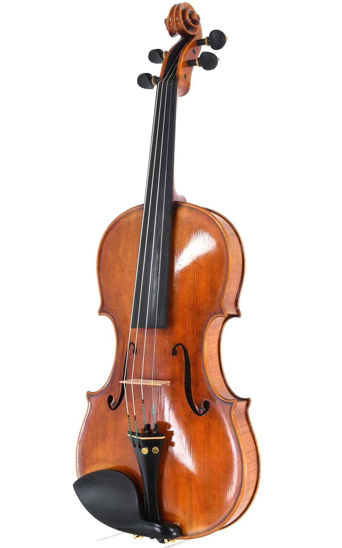 Mauro Lucini violino aestro Cremona