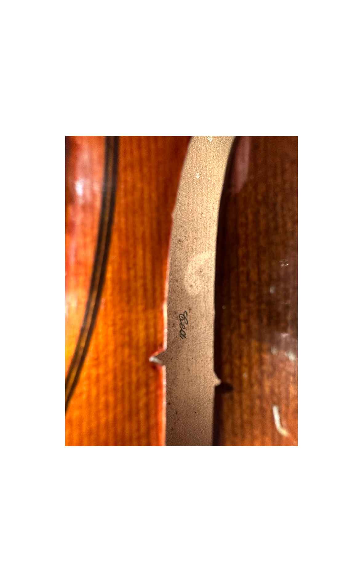 Old German violin. C.A. Wunderlich, approx. 1940