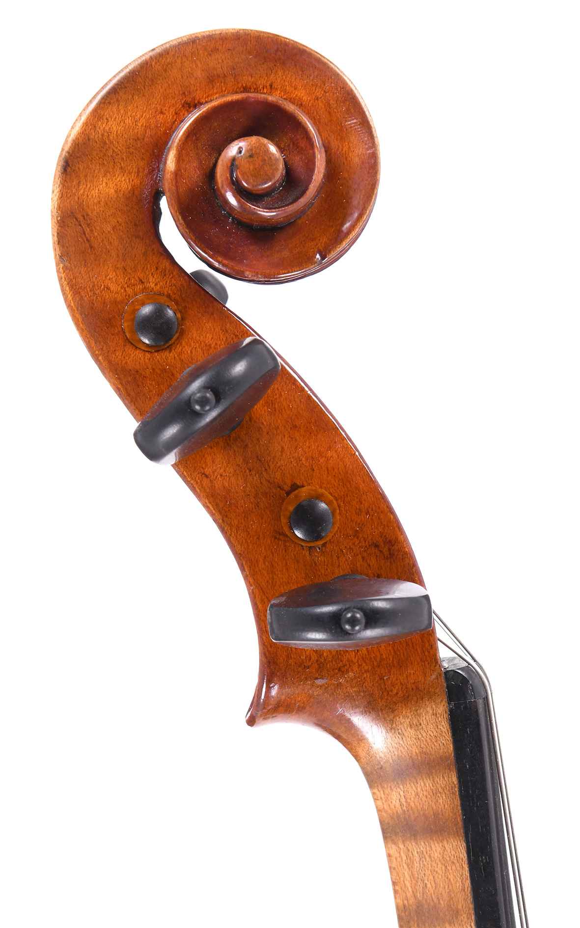 Giuseppe Pedrazzini, fine Italian violin