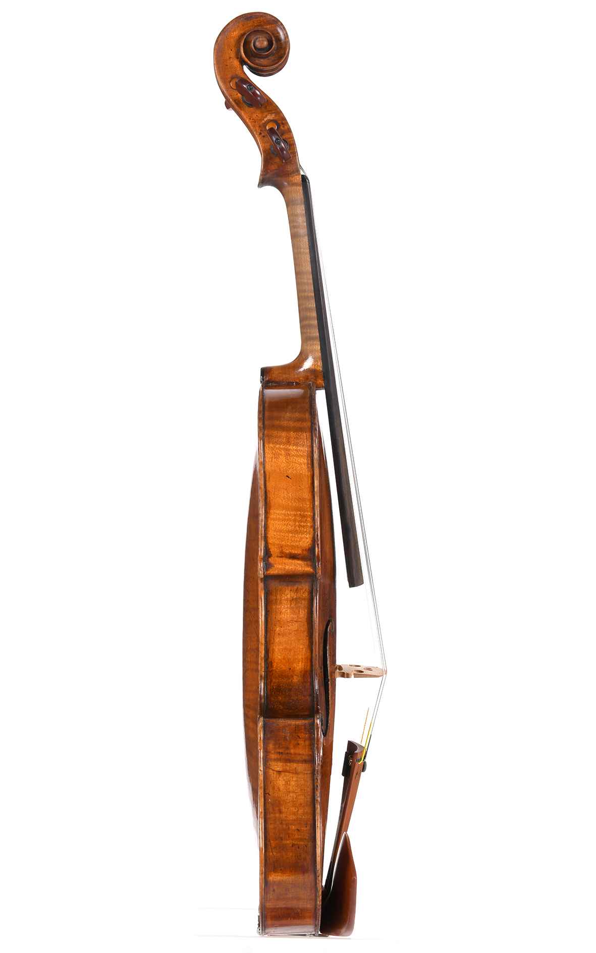 Andrea Castagneri, 1742: Fine violin from professional ownership (Roger &  Max Millant certificate)