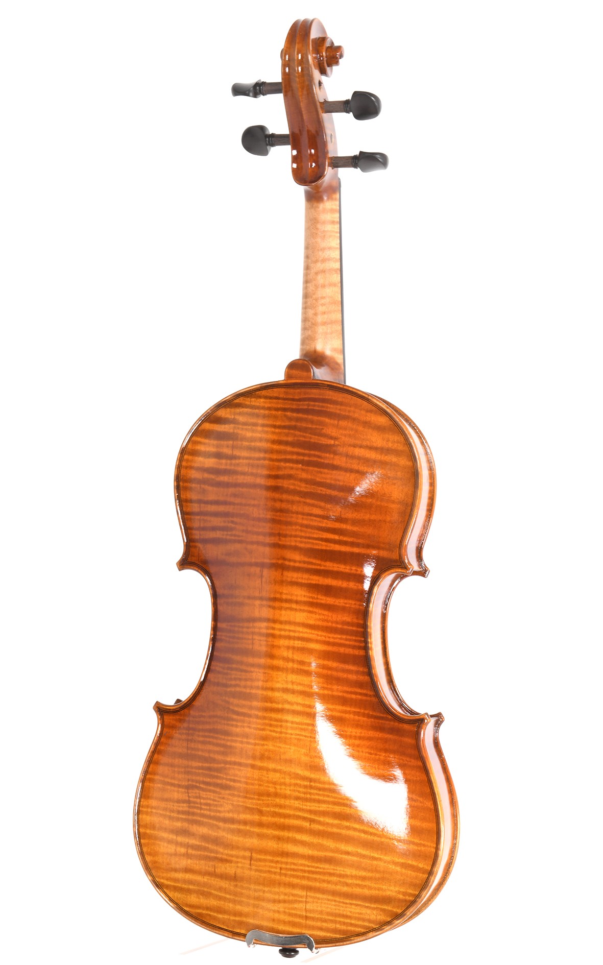 Violin opus 12 from the "CV Selectio" portfolio